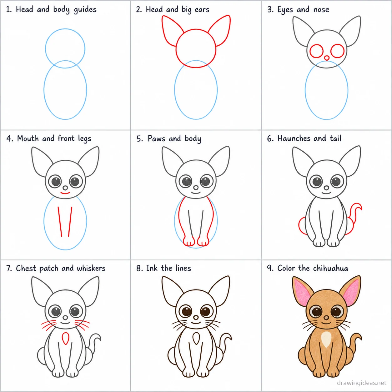 How to draw a chihuahua step by step — 9-step chihuahua drawing tutorial sheet