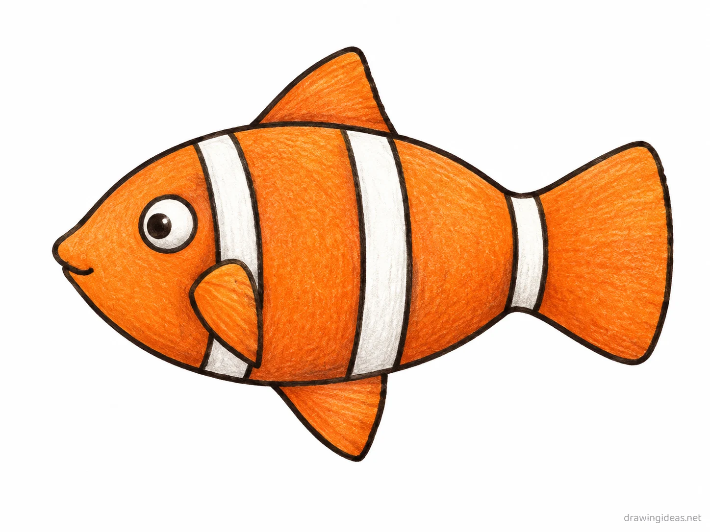 Clownfish drawing — hand-drawn clownfish illustration with ink lines and soft colors