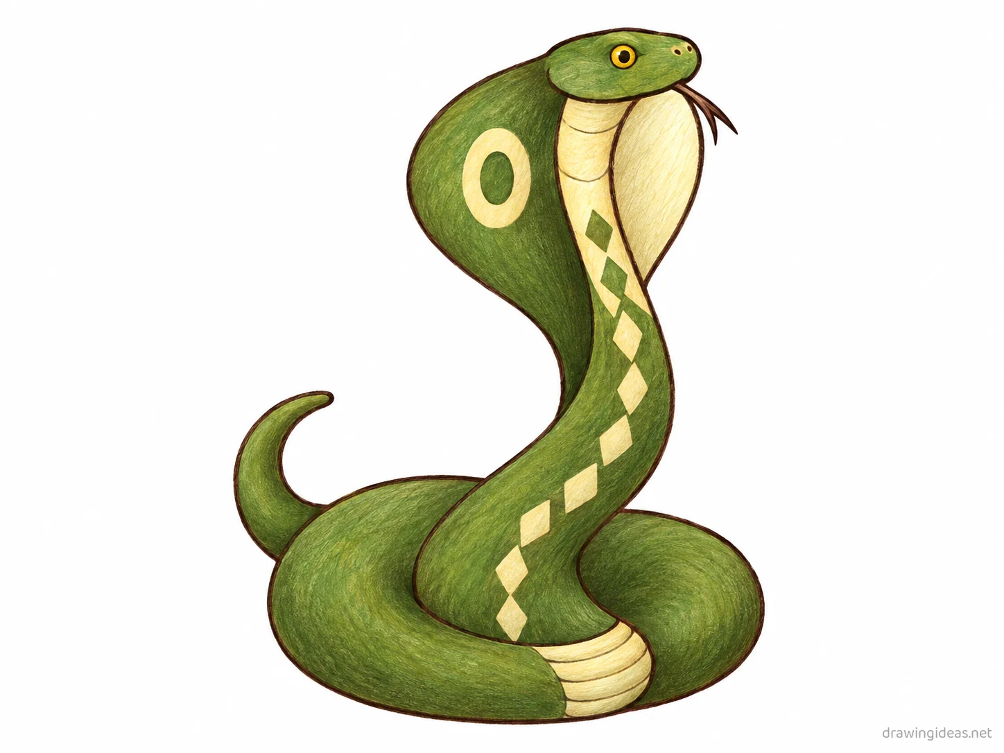 Cobra drawing — hand-drawn cobra illustration with ink lines and soft colors