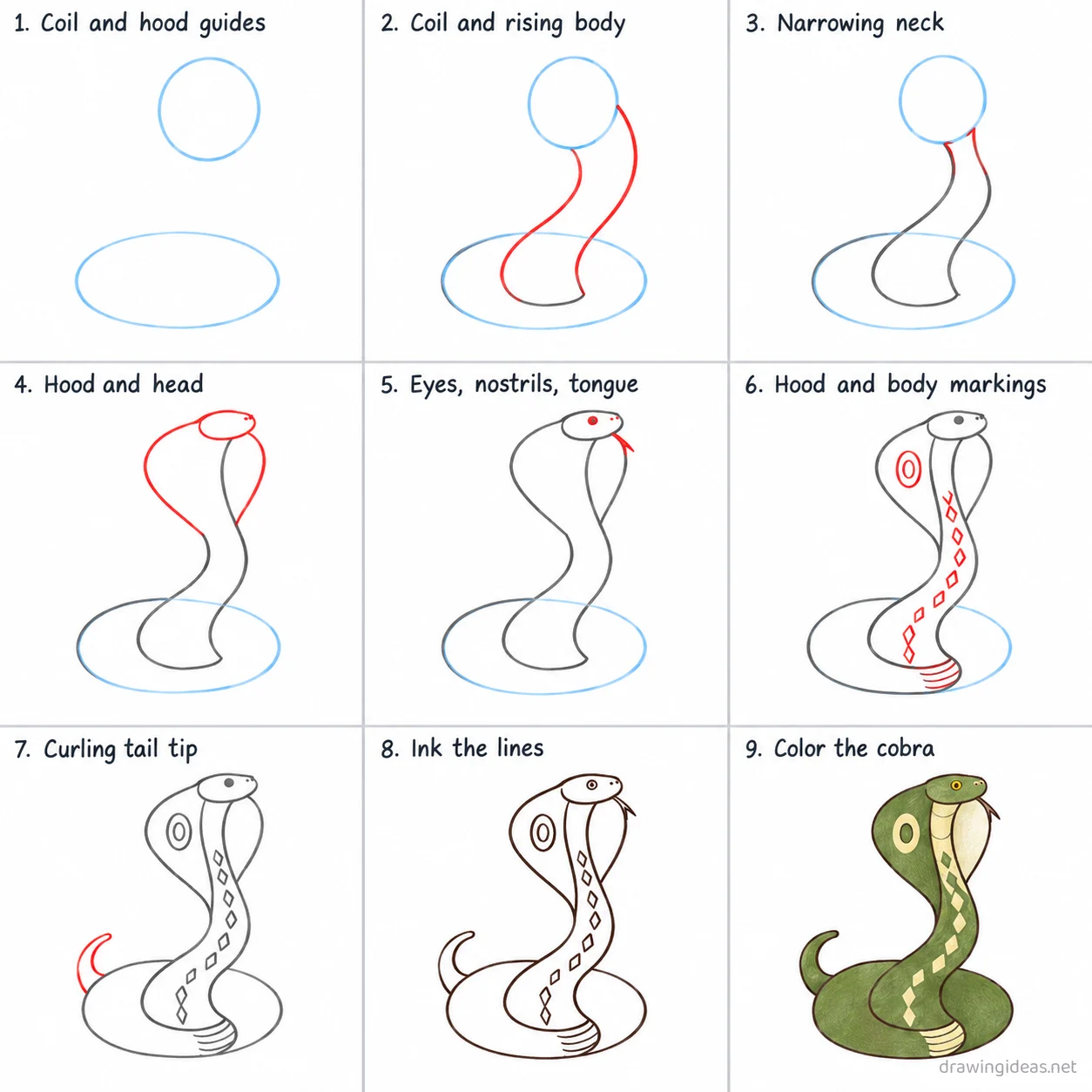 How to draw a cobra step by step — 9-step cobra drawing tutorial sheet