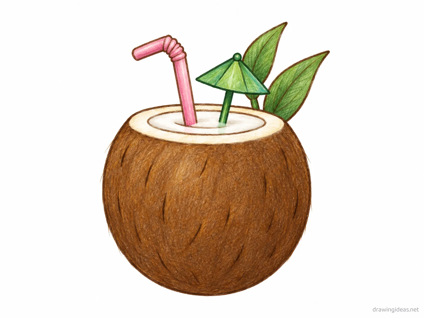 Coconut drawing — hand-drawn coconut illustration with ink lines and soft colors
