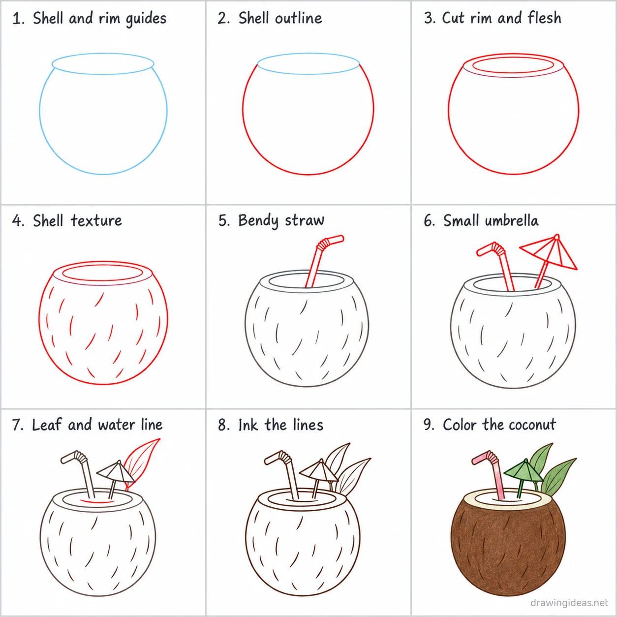 How to draw a coconut step by step — 9-step coconut drawing tutorial sheet