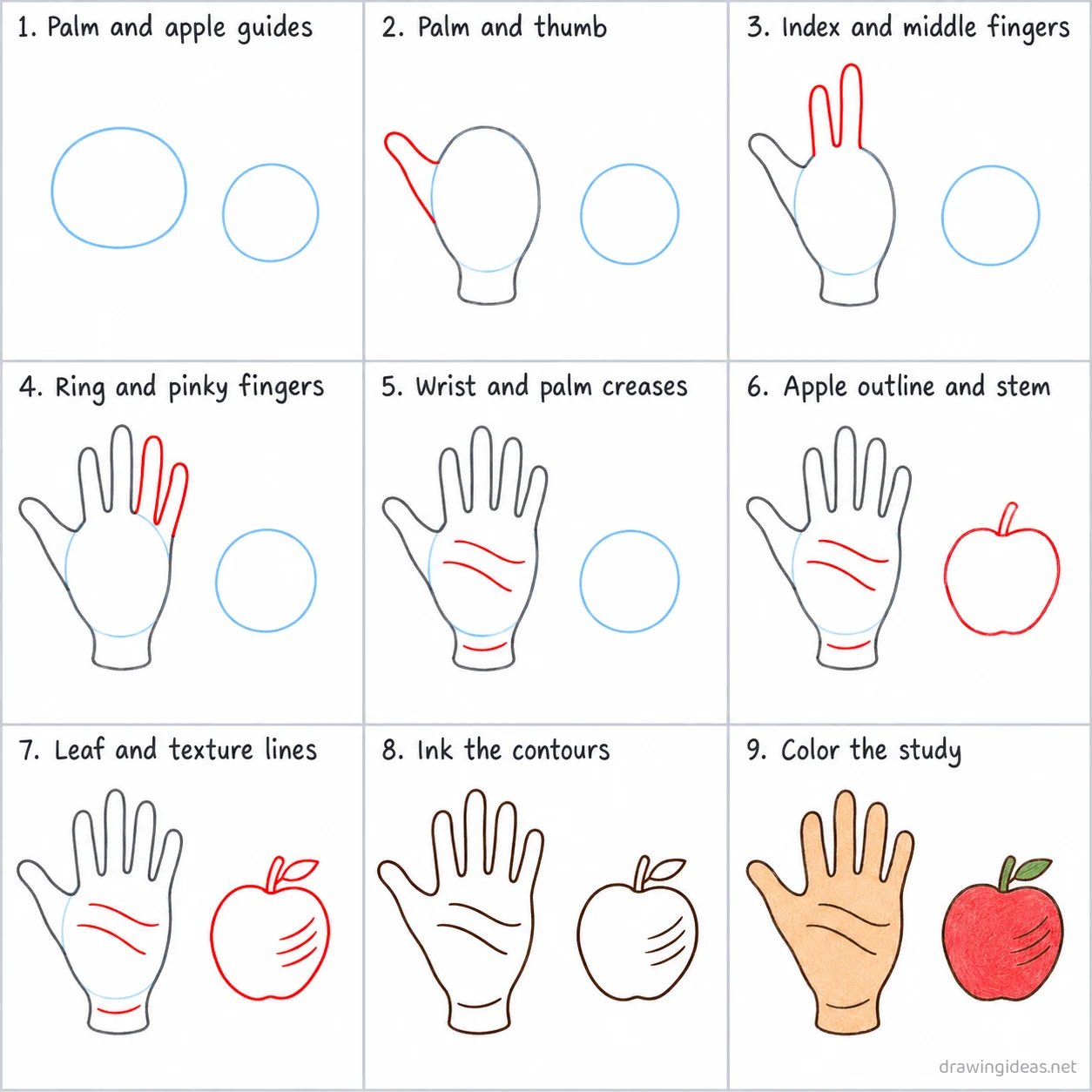 How to draw a contour line step by step — 9-step contour line drawing tutorial sheet