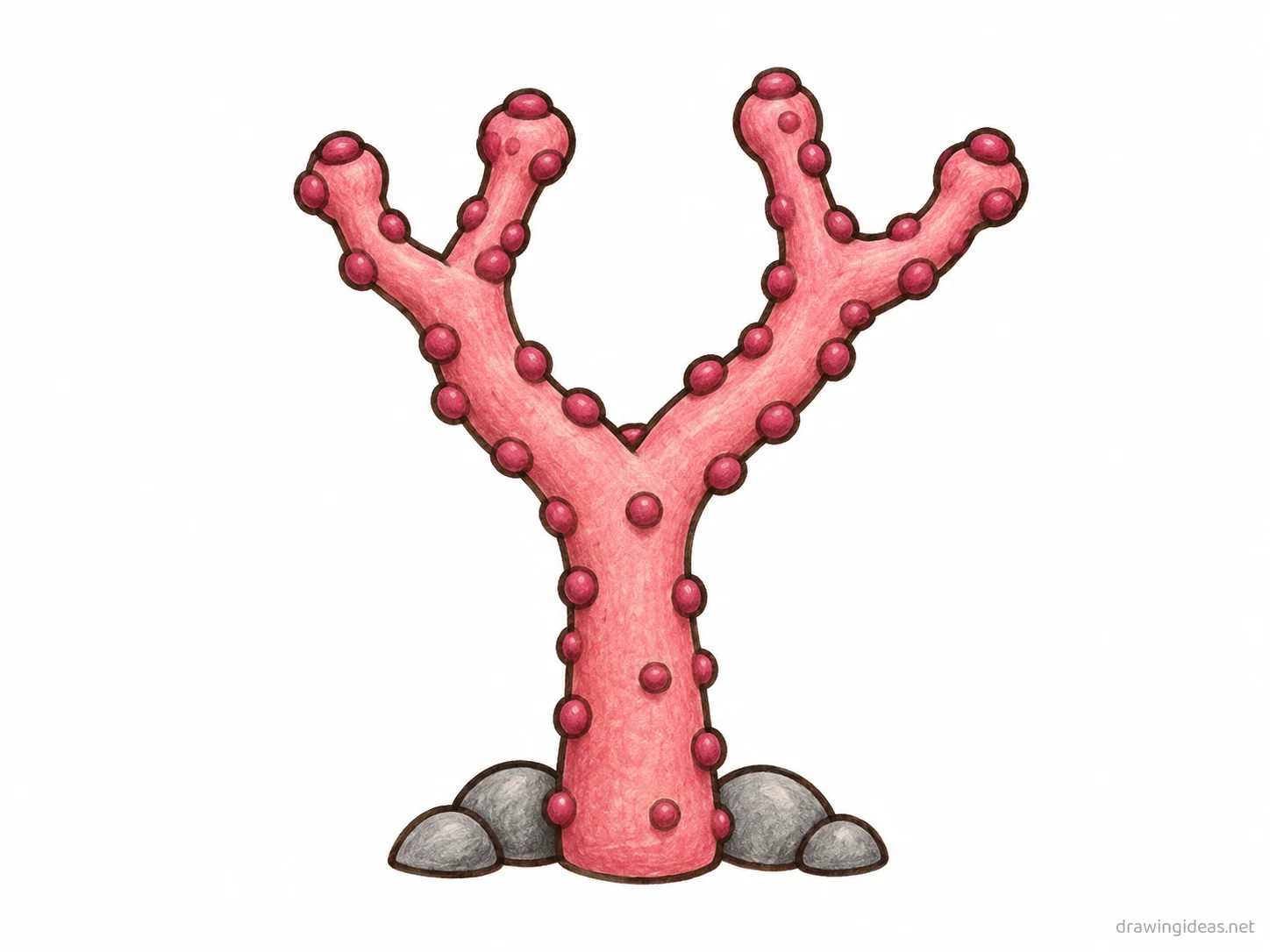 Coral drawing — hand-drawn coral illustration with ink lines and soft colors