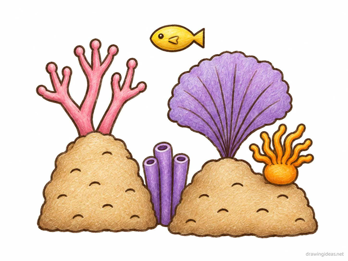 Coral Reef drawing — hand-drawn coral reef illustration with ink lines and soft colors