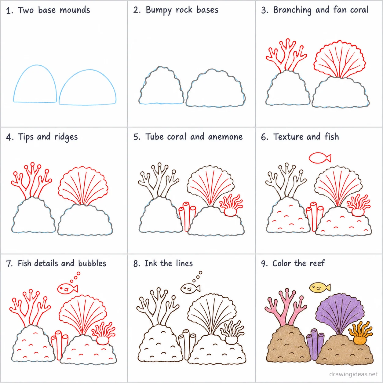 How to draw a coral reef step by step — 9-step coral reef drawing tutorial sheet
