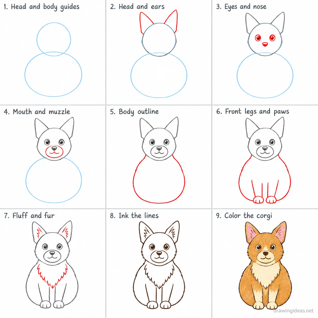 How to draw a corgi step by step — 9-step corgi drawing tutorial sheet
