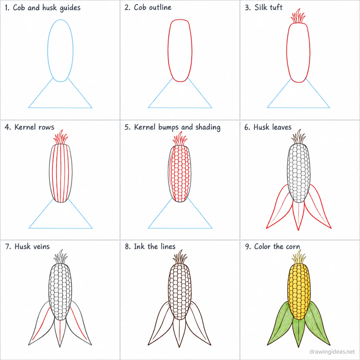How to draw corn step by step — 9-step corn drawing tutorial sheet