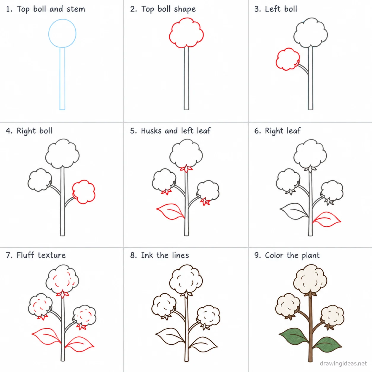 How to draw cotton step by step — 9-step cotton drawing tutorial sheet