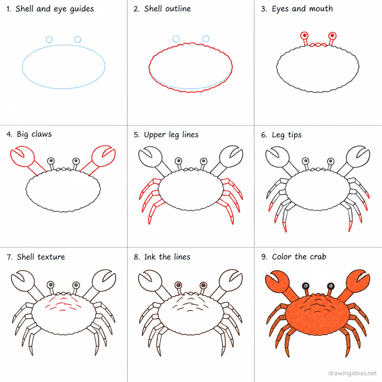 How to draw a crab step by step — 9-step crab drawing tutorial sheet