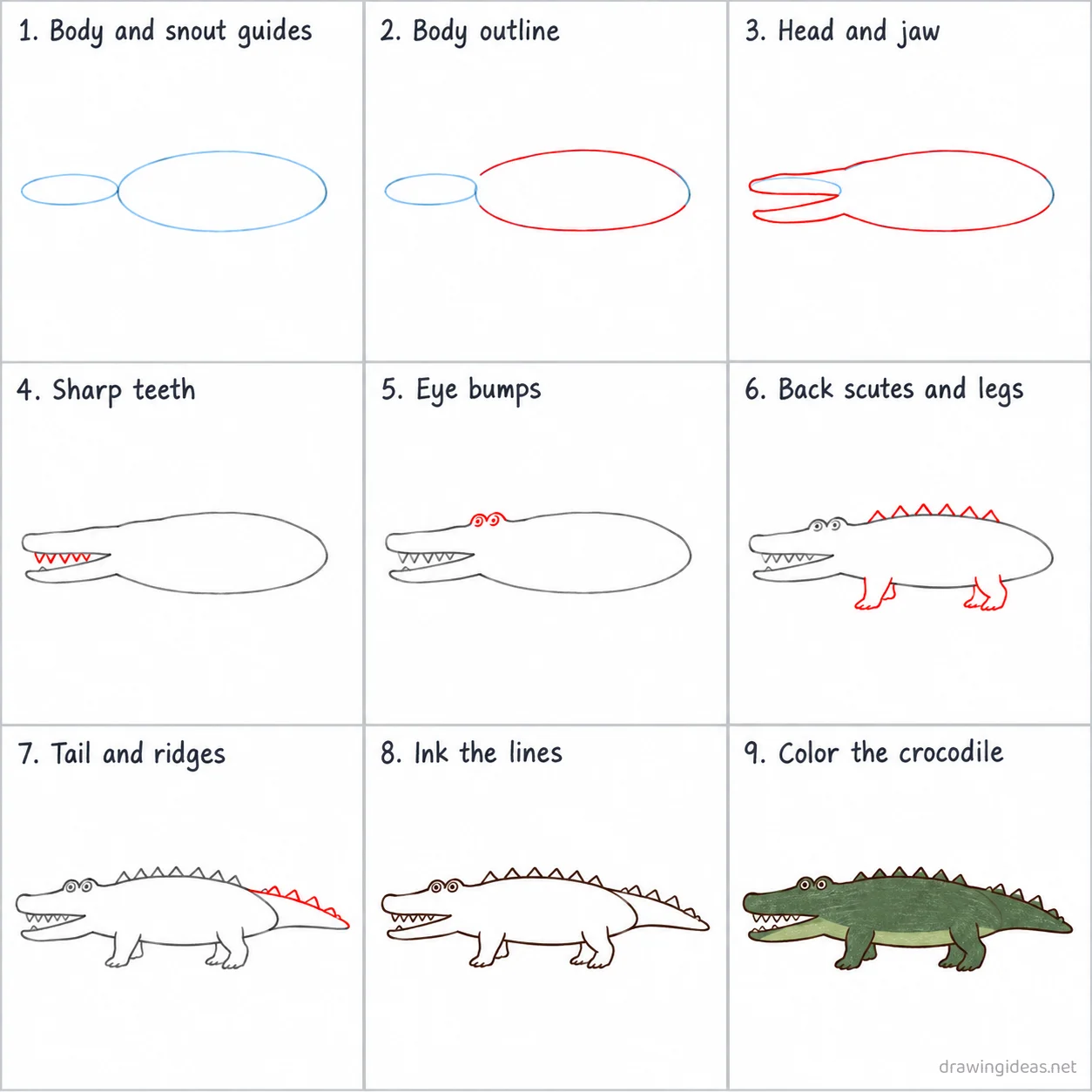 How to draw a crocodile step by step — 9-step crocodile drawing tutorial sheet