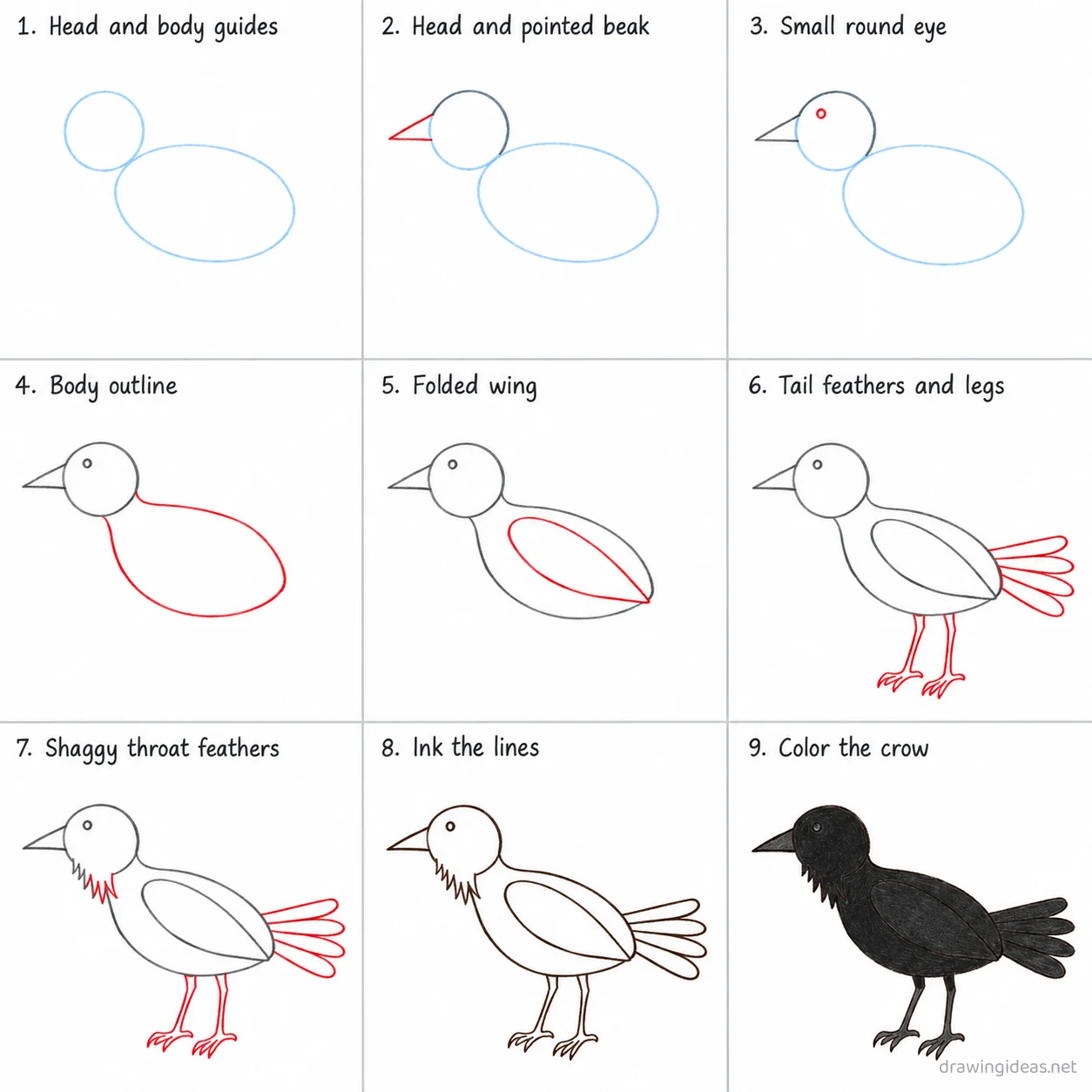 How to draw a crow step by step — 9-step crow drawing tutorial sheet