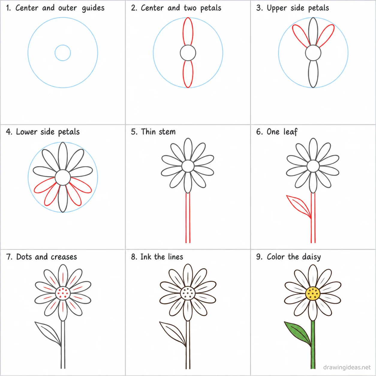 How to draw a daisy step by step — 9-step daisy drawing tutorial sheet