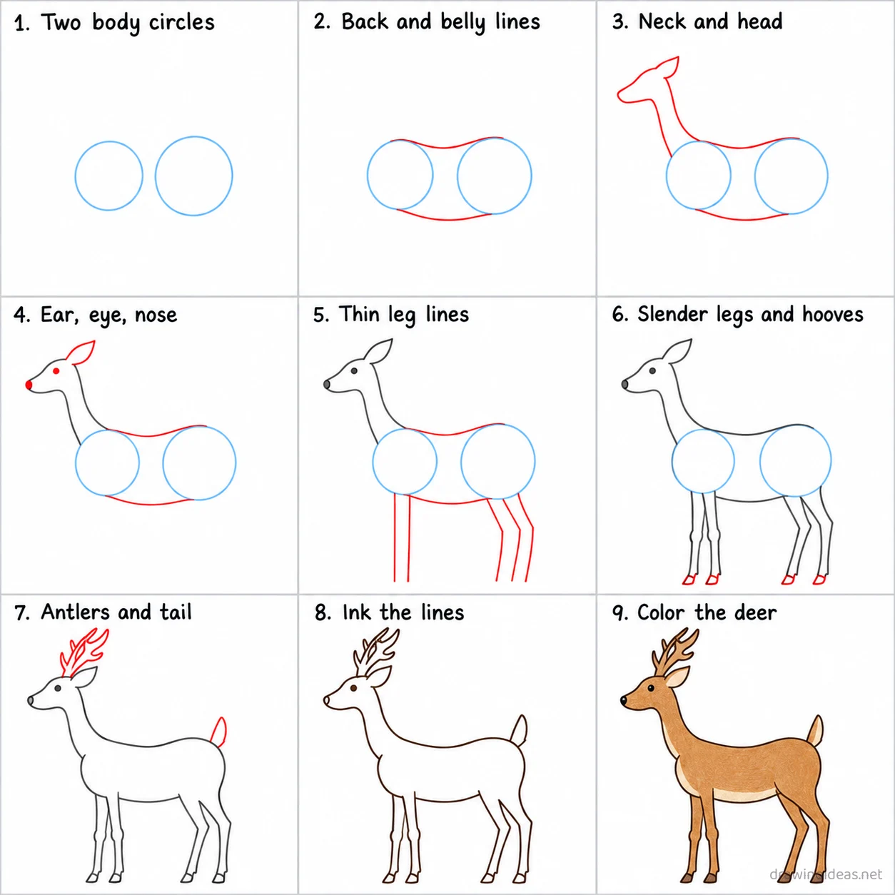 How to draw a deer step by step — 9-step deer drawing tutorial sheet
