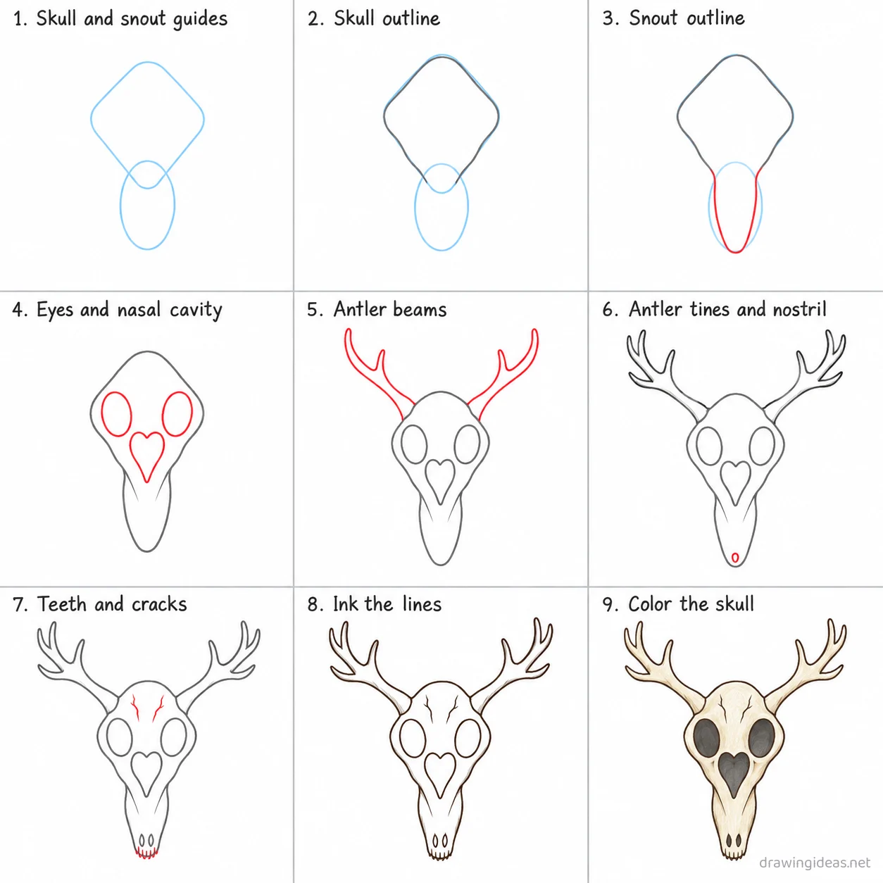 How to draw a deer skull step by step — 9-step deer skull drawing tutorial sheet