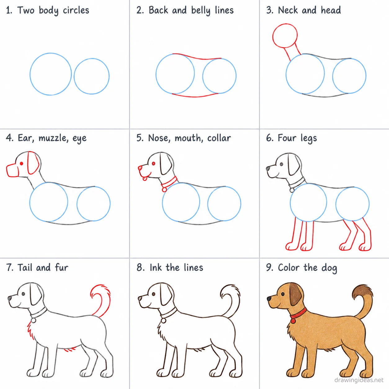 How to draw a dog step by step — 9-step dog drawing tutorial sheet