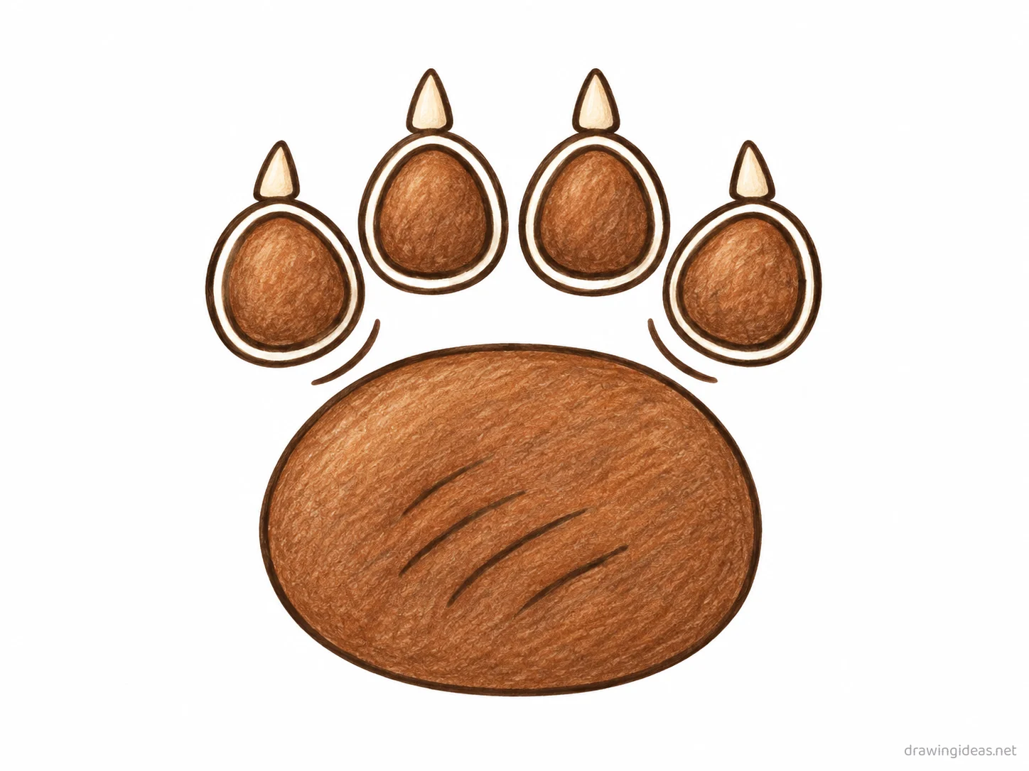 Dog Paw drawing — hand-drawn dog paw illustration with ink lines and soft colors