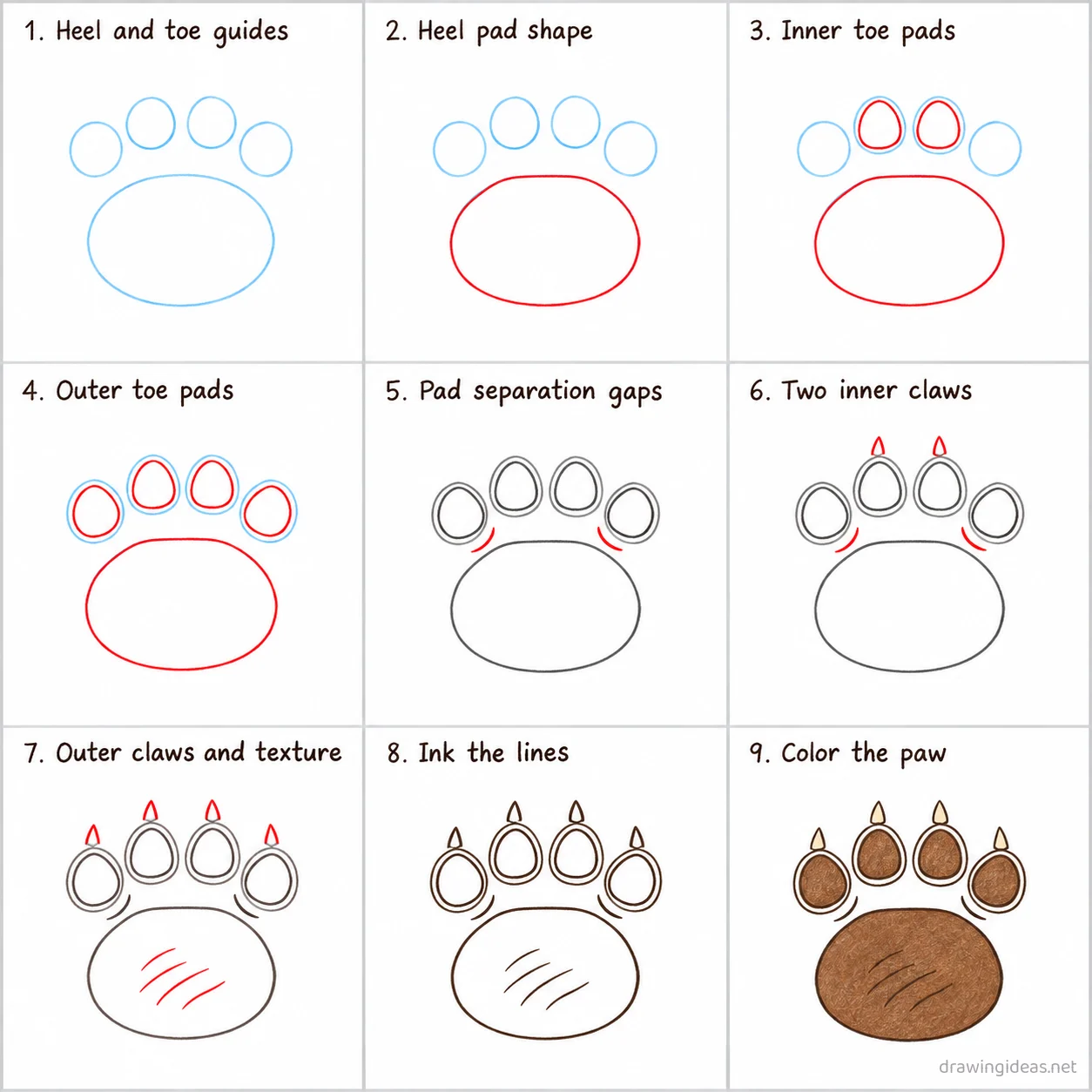 How to draw a dog paw step by step — 9-step dog paw drawing tutorial sheet