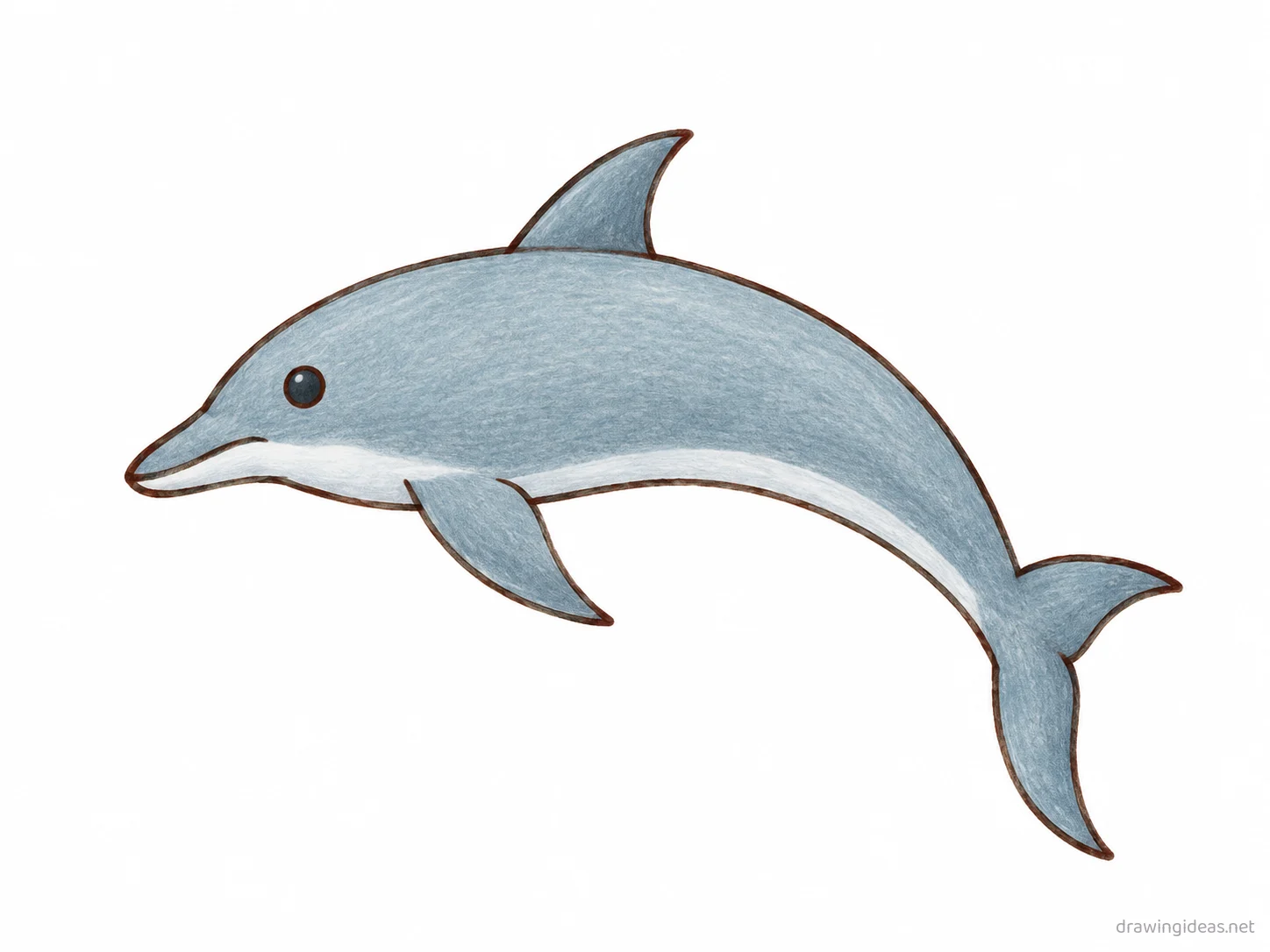 Dolphin drawing — hand-drawn dolphin illustration with ink lines and soft colors