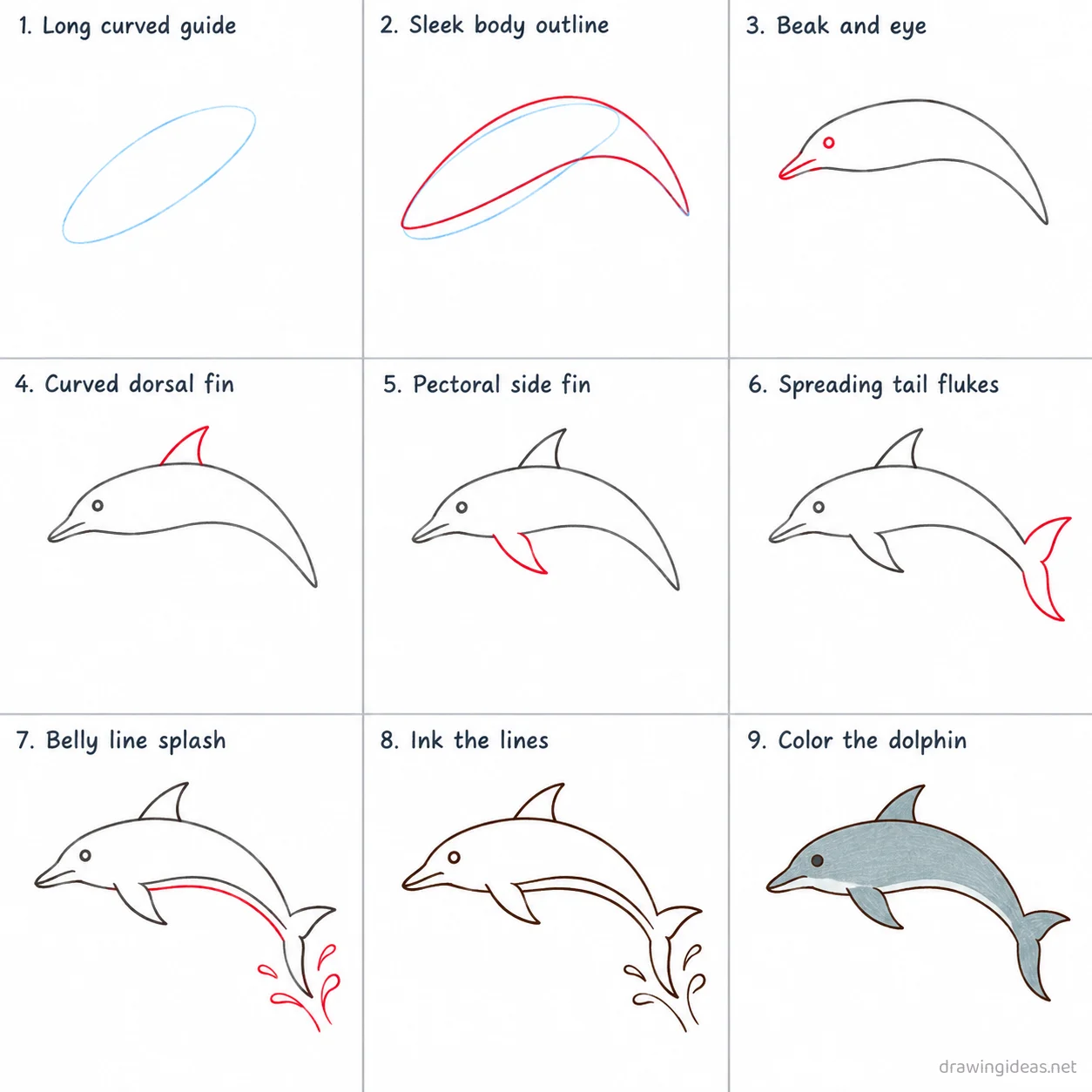 How to draw a dolphin step by step — 9-step dolphin drawing tutorial sheet