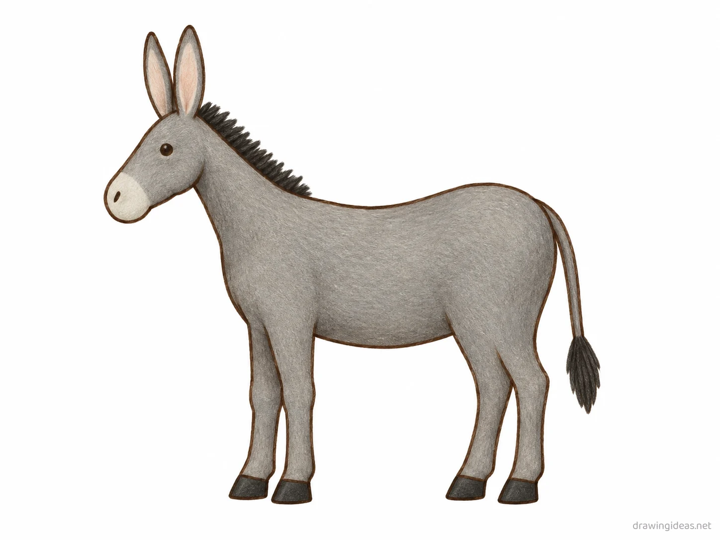 Donkey drawing — hand-drawn donkey illustration with ink lines and soft colors