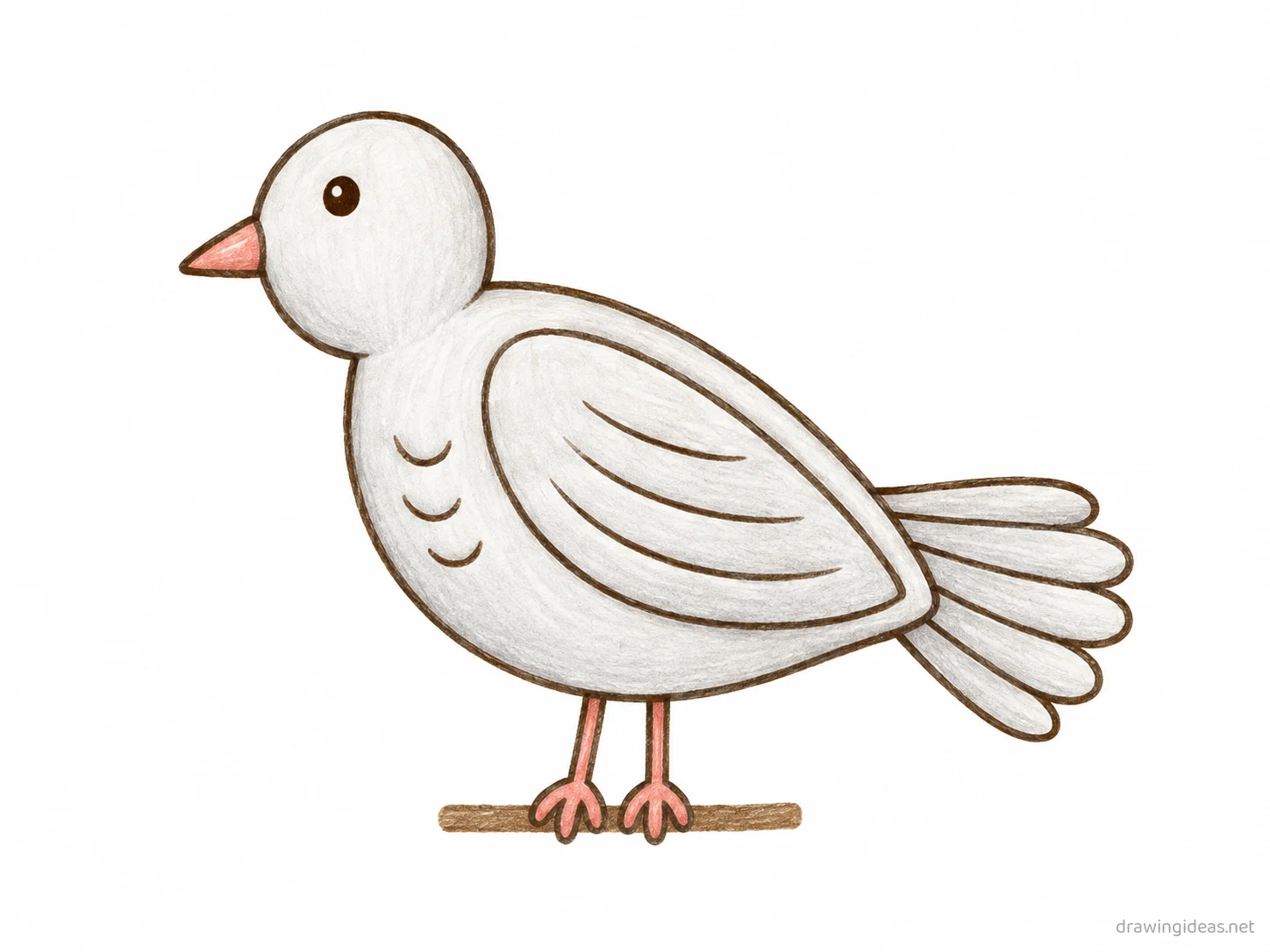 Dove drawing — hand-drawn dove illustration with ink lines and soft colors