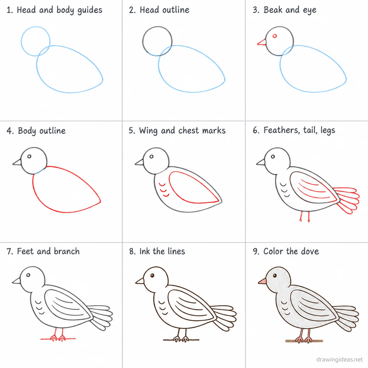 How to draw a dove step by step — 9-step dove drawing tutorial sheet