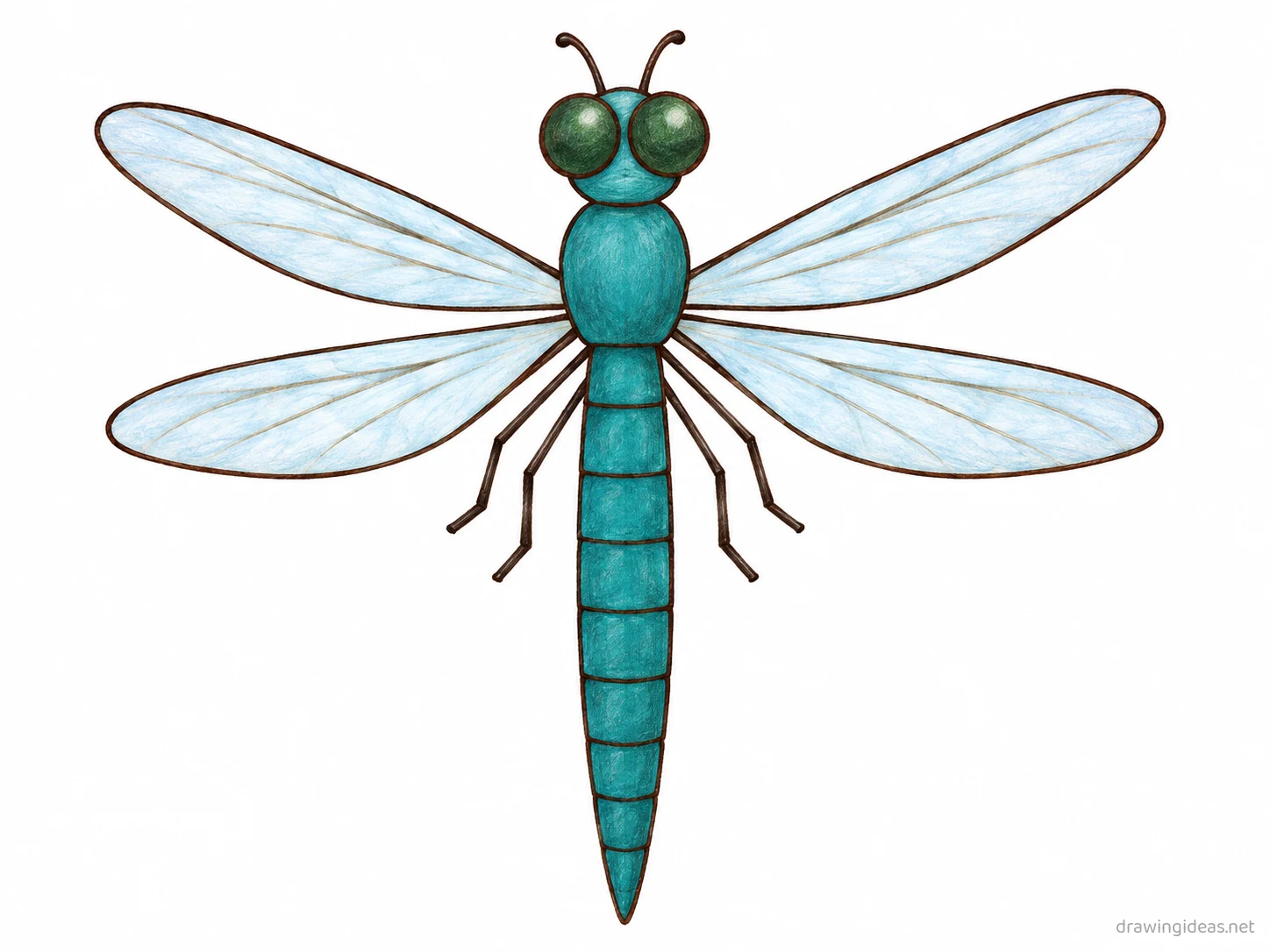 Dragonfly drawing — hand-drawn dragonfly illustration with ink lines and soft colors