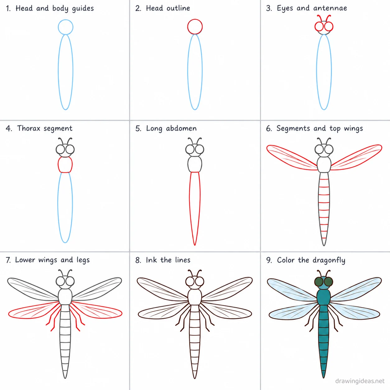 How to draw a dragonfly step by step — 9-step dragonfly drawing tutorial sheet