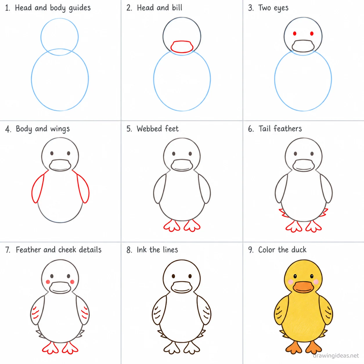 How to draw a duck step by step — 9-step duck drawing tutorial sheet