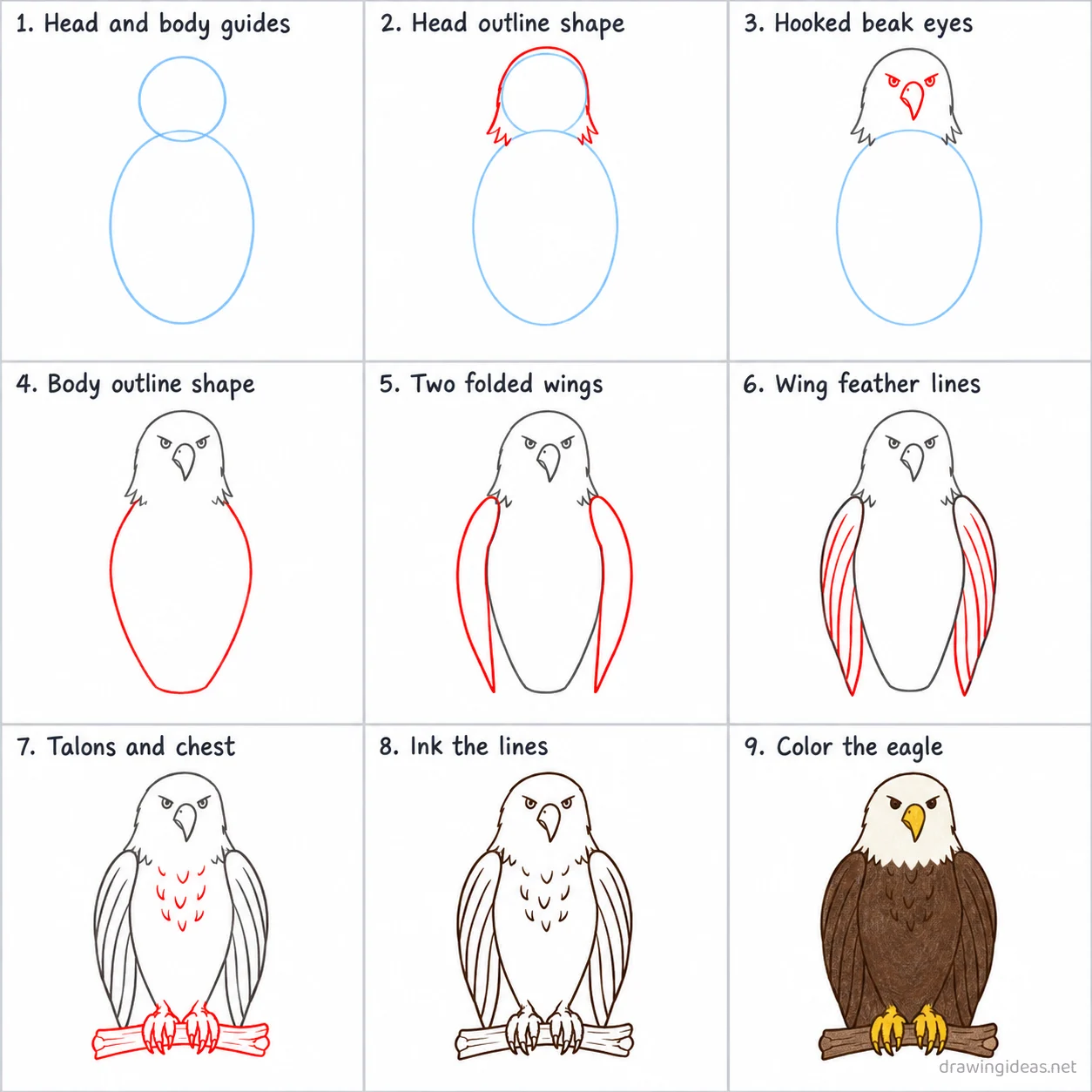 How to draw an eagle step by step — 9-step eagle drawing tutorial sheet