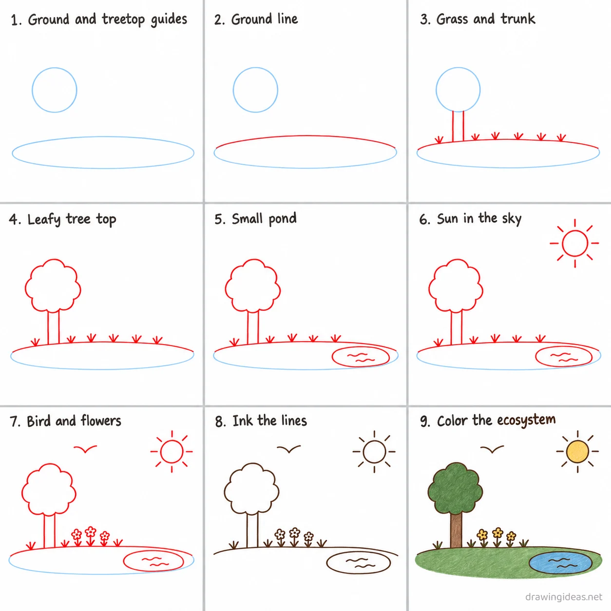How to draw an ecosystem step by step — 9-step ecosystem drawing tutorial sheet