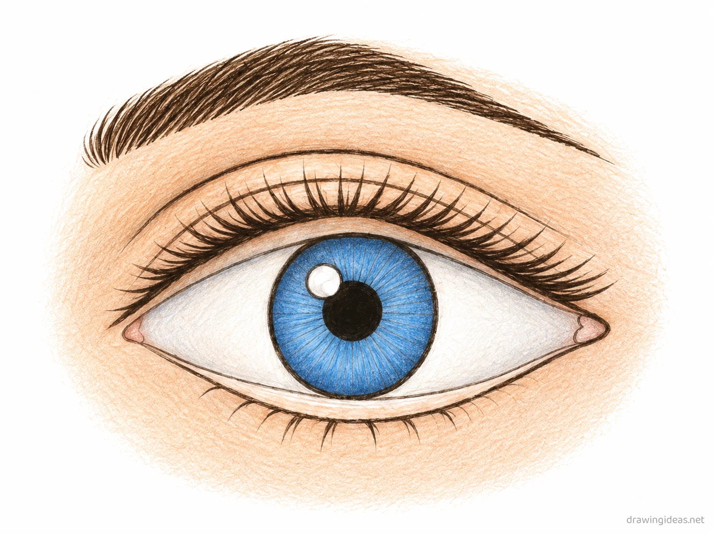 Eye drawing — hand-drawn eye illustration with ink lines and soft colors