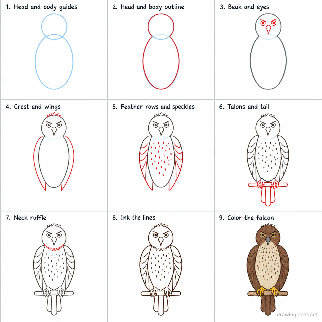 How to draw a falcon step by step — 9-step falcon drawing tutorial sheet