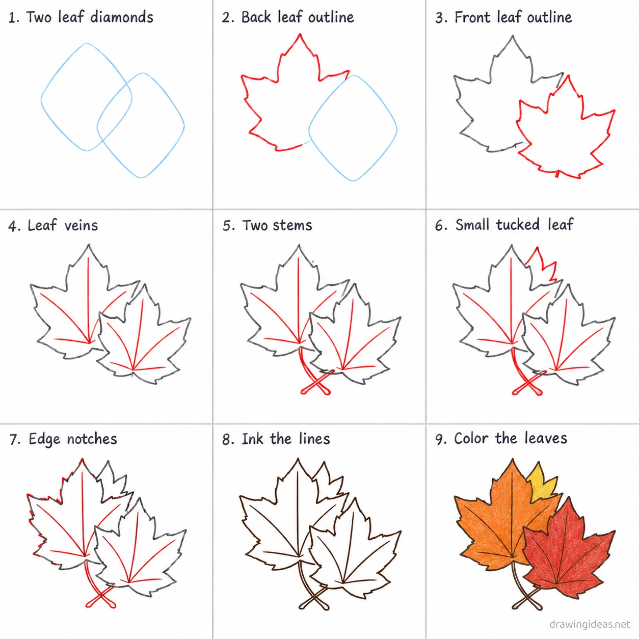 How to draw fall leaves step by step — 9-step fall leaves drawing tutorial sheet