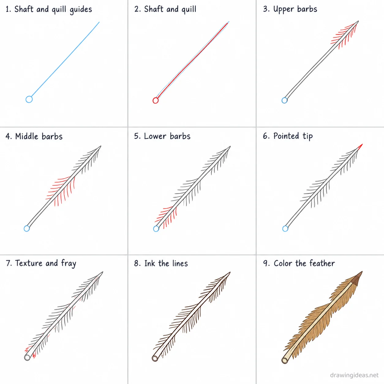 How to draw a feather step by step — 9-step feather drawing tutorial sheet