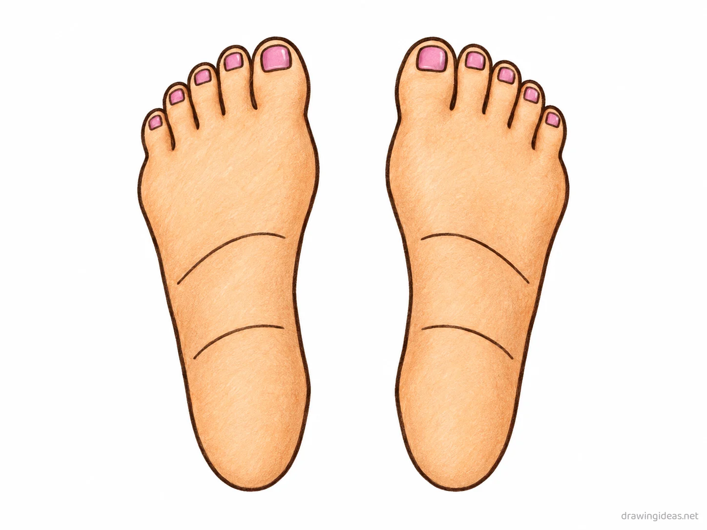 Feet drawing — hand-drawn feet illustration with ink lines and soft colors