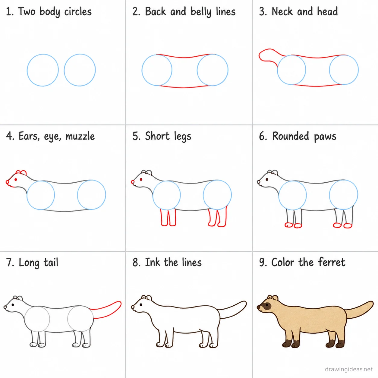 How to draw a ferret step by step — 9-step ferret drawing tutorial sheet