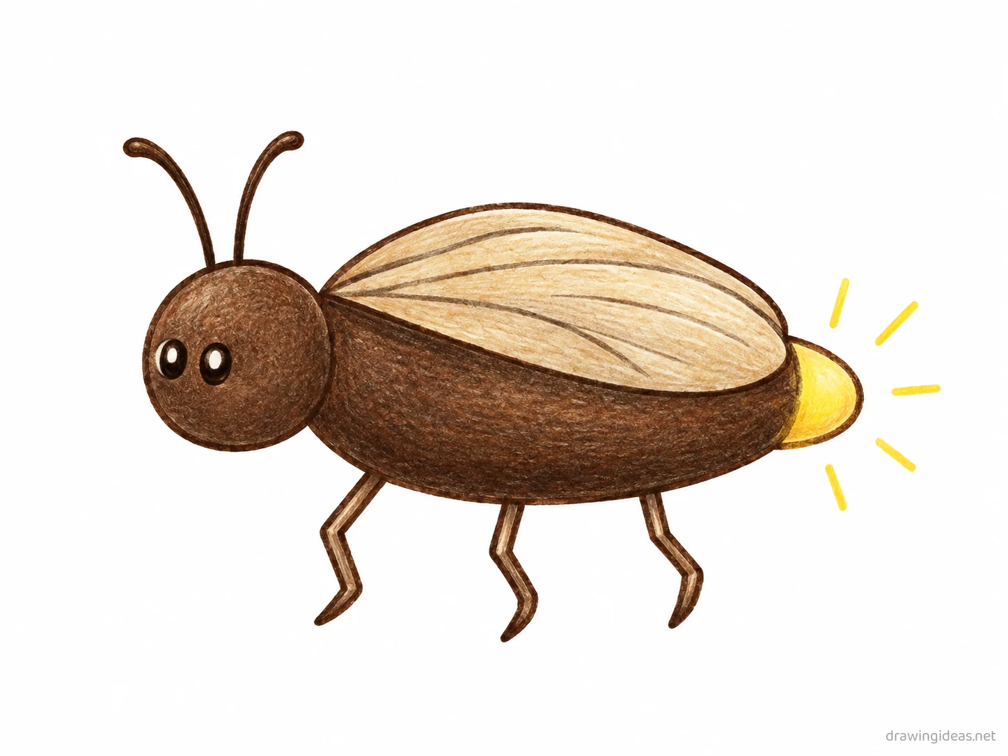 Firefly drawing — hand-drawn firefly illustration with ink lines and soft colors