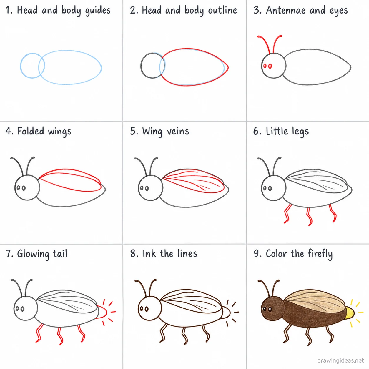How to draw a firefly step by step — 9-step firefly drawing tutorial sheet