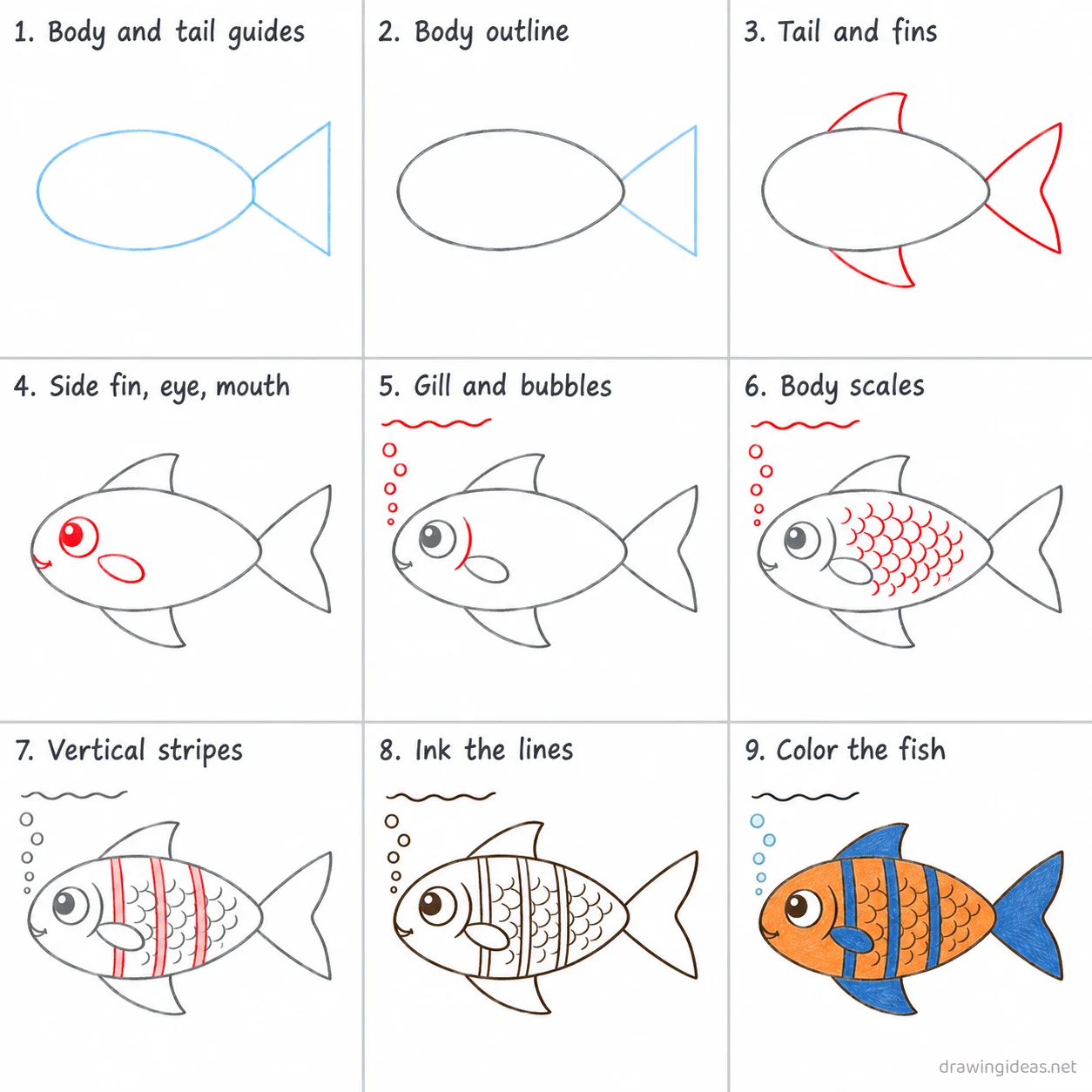 How to draw a fish step by step — 9-step fish drawing tutorial sheet