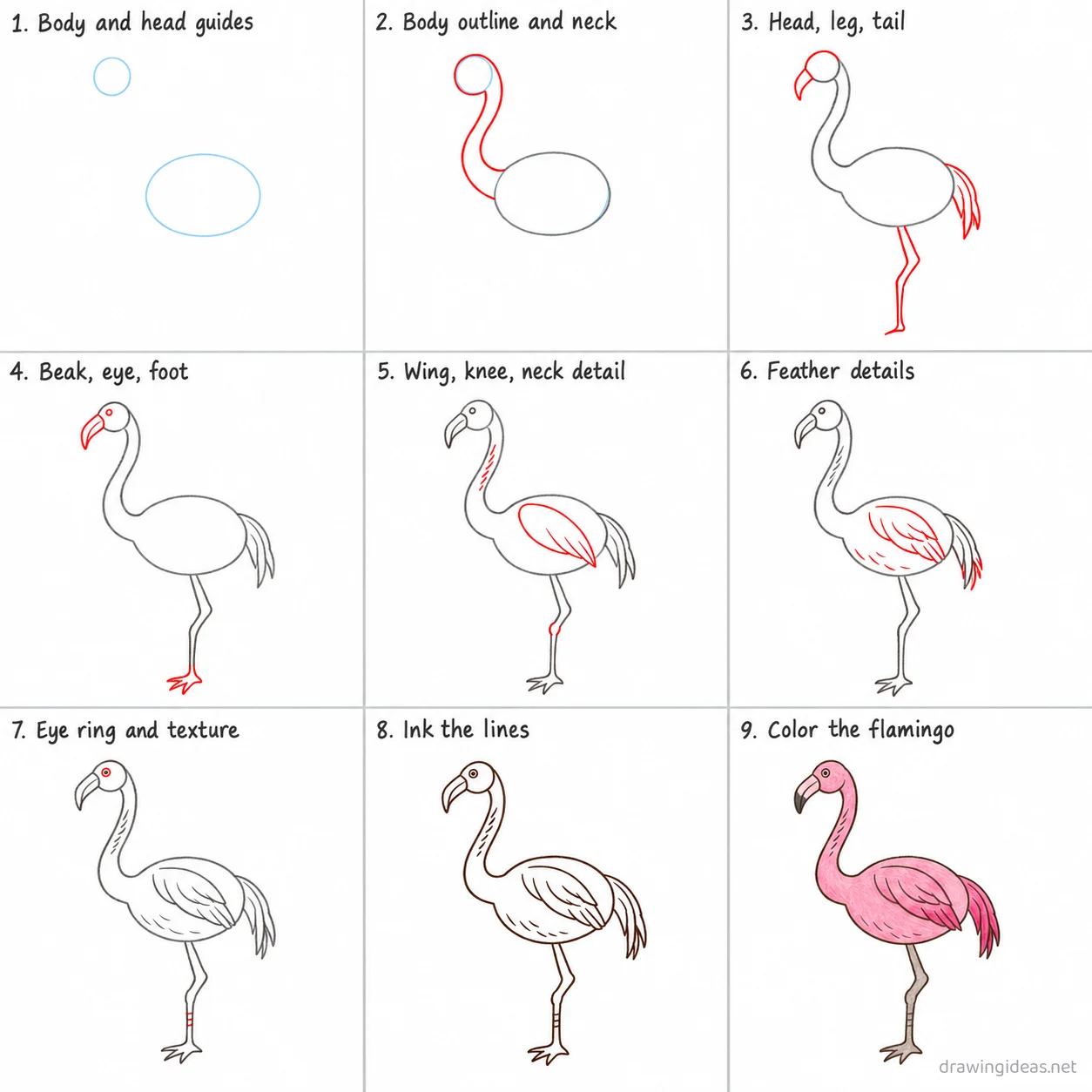 How to draw a flamingo step by step — 9-step flamingo drawing tutorial sheet