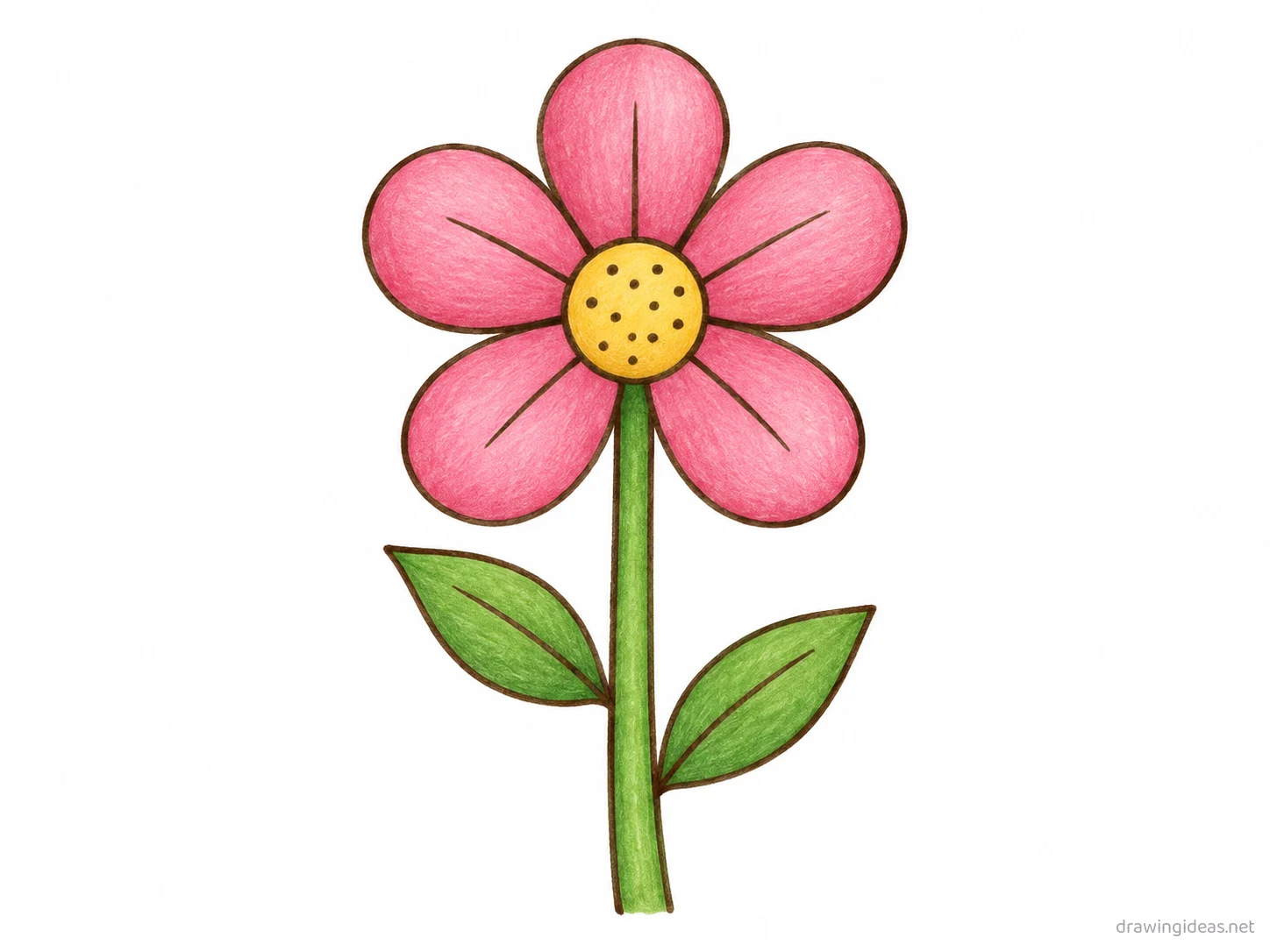 Flower drawing — hand-drawn flower illustration with ink lines and soft colors