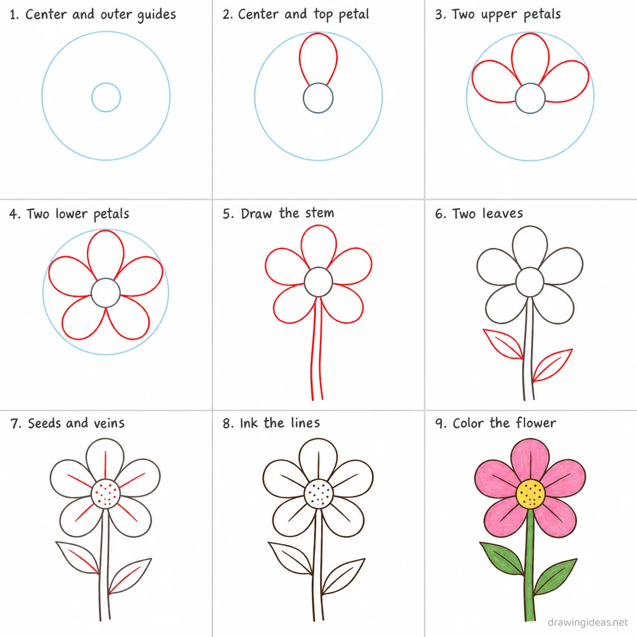 How to draw a flower step by step — 9-step flower drawing tutorial sheet