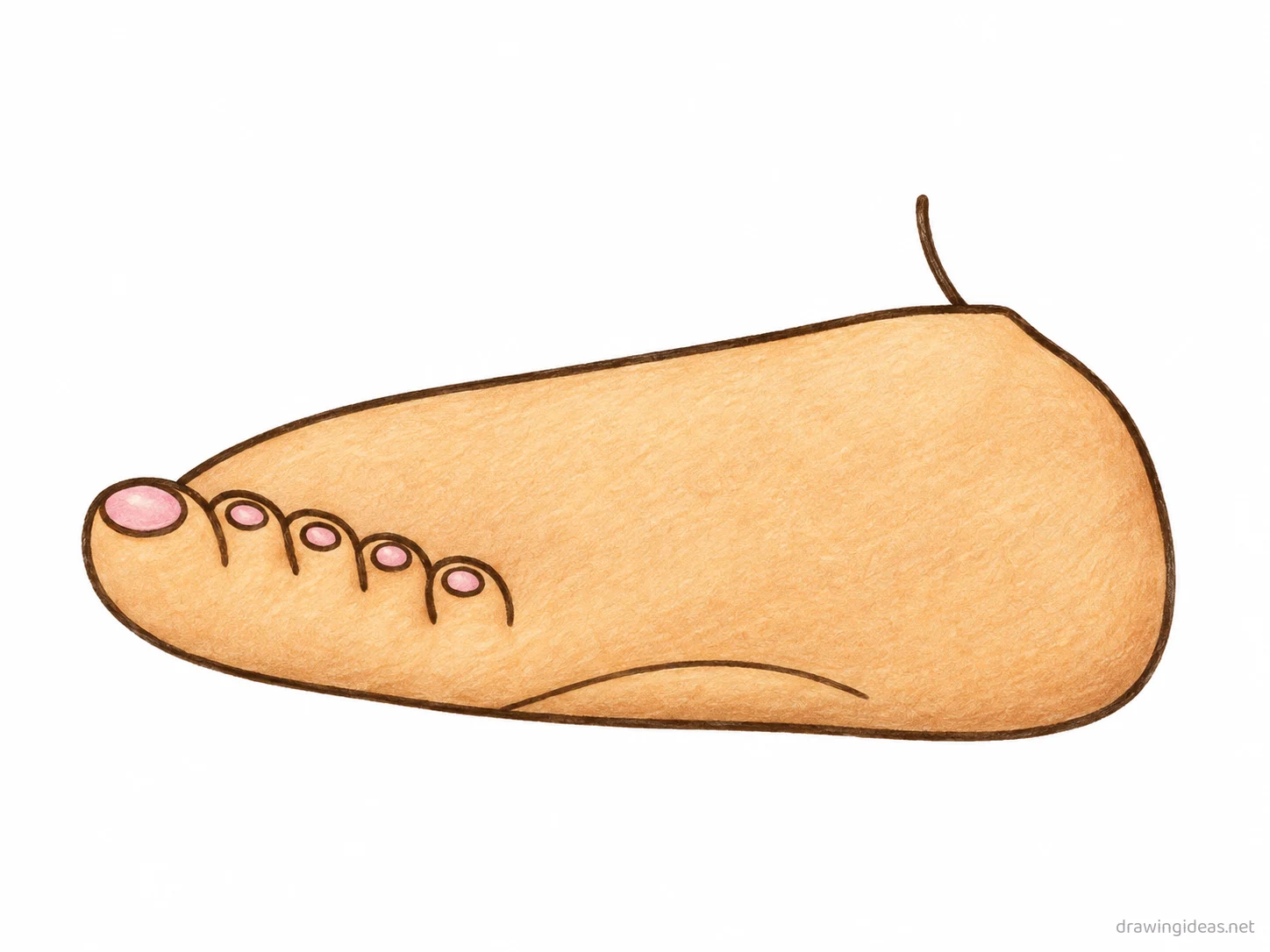 Foot drawing — hand-drawn foot illustration with ink lines and soft colors