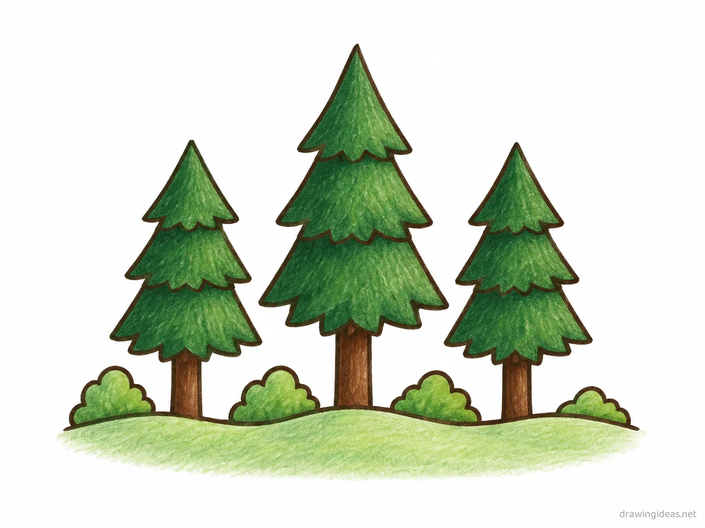 Forest drawing — hand-drawn forest illustration with ink lines and soft colors