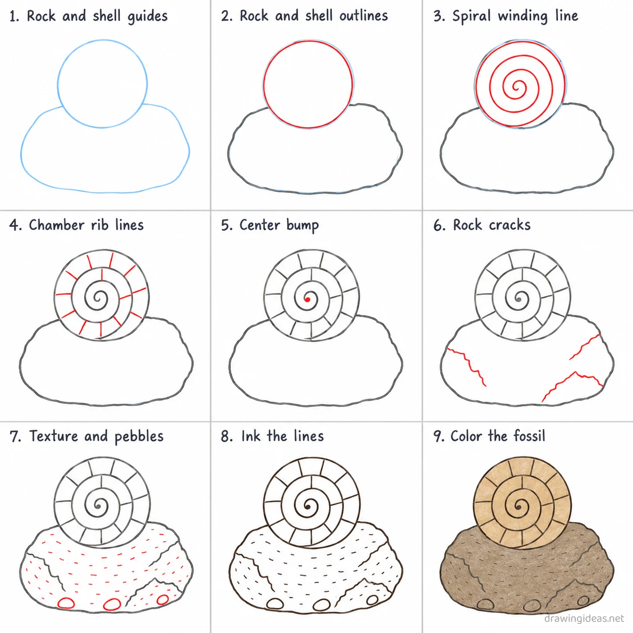 How to draw a fossil step by step — 9-step fossil drawing tutorial sheet