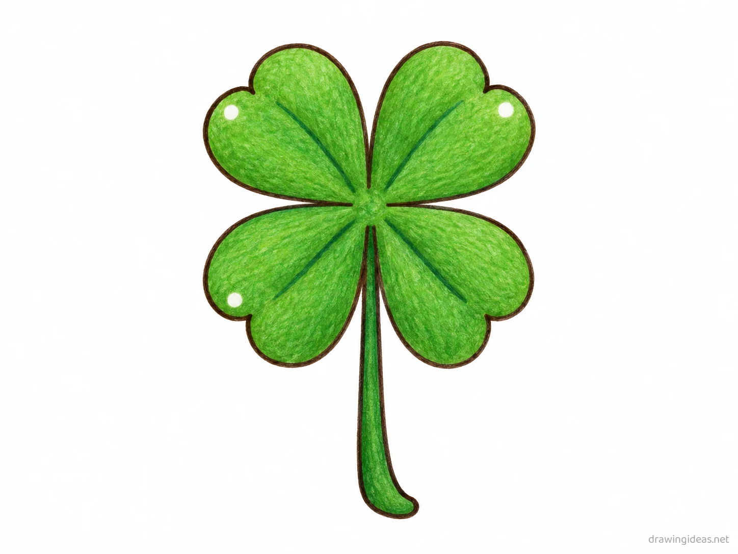 Four Leaf Clover drawing — hand-drawn four leaf clover illustration with ink lines and soft colors