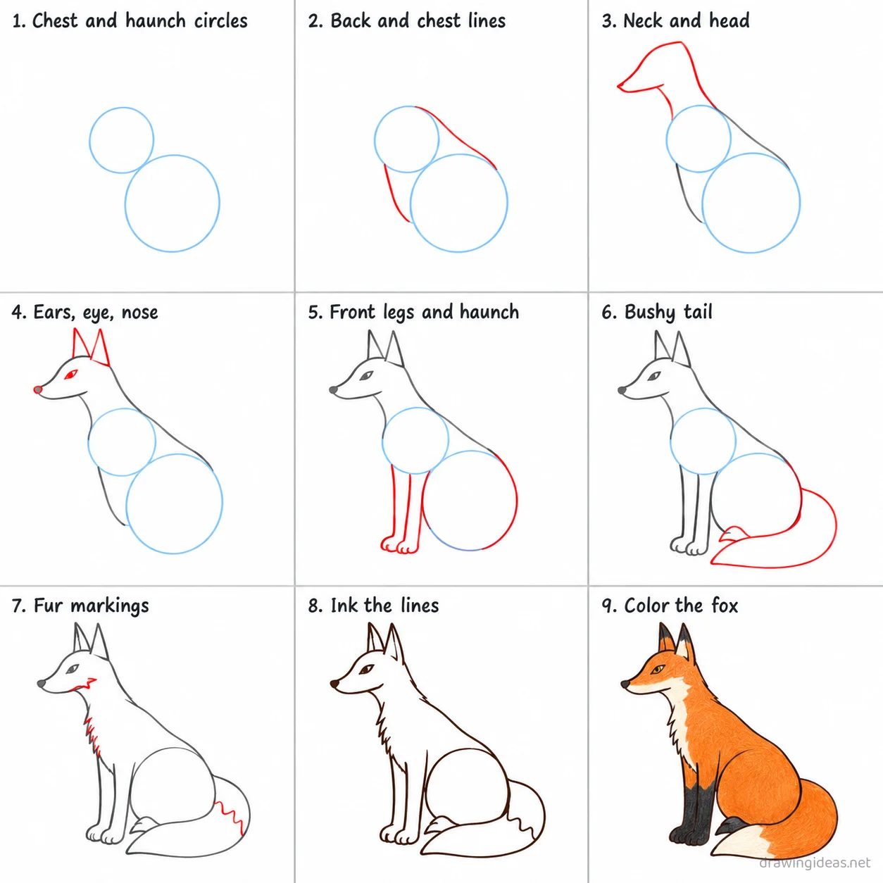 How to draw a fox step by step — 9-step fox drawing tutorial sheet