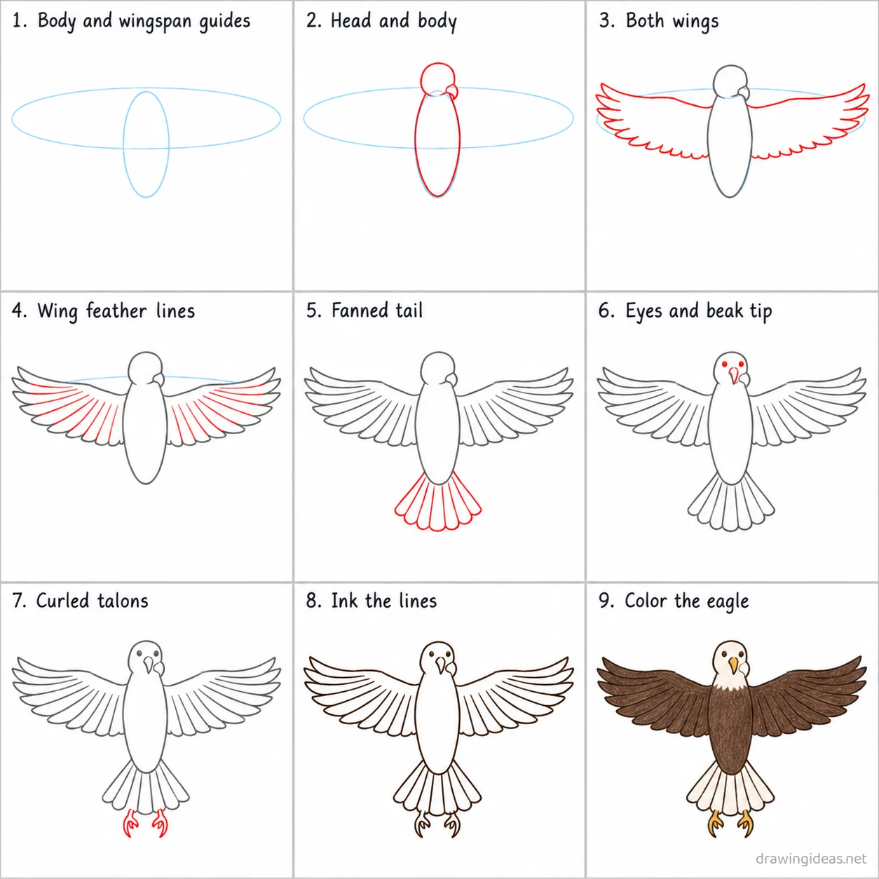 How to draw freedom step by step — 9-step freedom drawing tutorial sheet